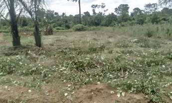 Imagem 2: Vendo 2 datas em São Miguel do Guaporé