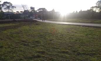 Imagem 3: Terreno no bairro São Bernardo em São Francisco de Paula!