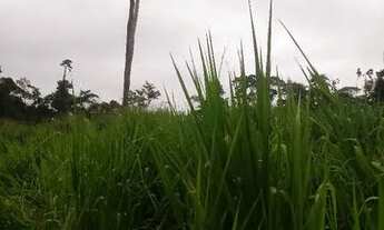 Imagem 8: Vendo uma colônia de 632 hectares, com 35 hectares de pasto mais 40 hectare