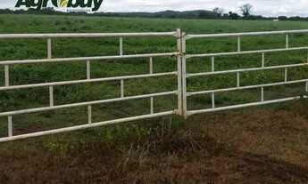 Imagem: Fazenda Com 195 Alqueires no Município