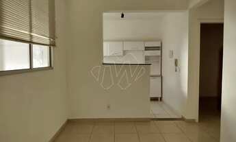 Imagem 3: Locação de Apartamentos / Padrão na cidade de Araraquara