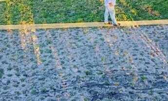 Imagem 4: Terreno Veraneio 474mm beira do rio/mar, Cond Pontal de Jaguaripe, Ilha de Itaparica