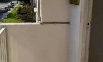 Imagem 4: Apartamento com 2 dormitórios para alugar, 55 m² por R$ 1.104,54/mês - Gleba Califórnia