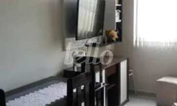 Imagem: São Paulo - Apartamento Padrão - Brás