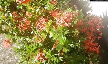 Imagem 4: Casa para aluguel no Condomínio Grape Village em Vinhedo/SP