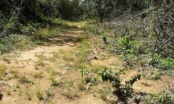 Imagem 4: Fazenda em Cristalandia 561 ha