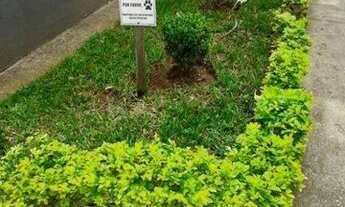 Imagem 7: Apartamento com 2 dormitórios, 46 m² - venda por R$ 220.000,00 ou aluguel por R$ 1.400,00