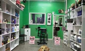 Imagem 5: Loja com 53m² privativos, localizada no bairro São João em Porto Alegre/RS