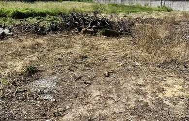 Imagem 5: Área comercial e industrial (alugo) jardim limoeiro