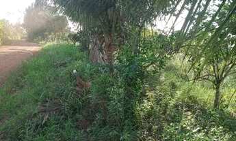 Imagem: Vendo excelente sítio em laje