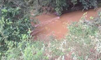 Imagem 7: VÊNDO CHÁCARA Chácara com venda por R$350.000