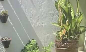 Imagem 2: EXCELENTE CASA EM UBATIBA - QUINTAL AMPLO E ÁREA GOURMET