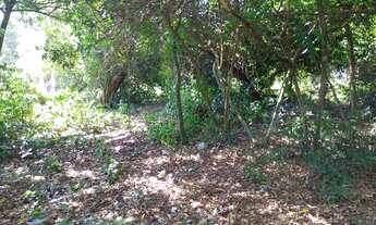 Imagem 2: Terreno 40x20 em Sapucaia do Sul