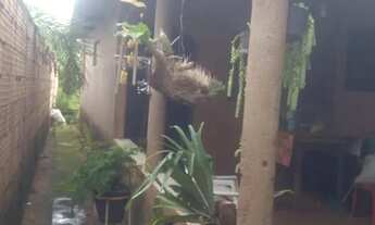 Imagem 5: Vendo chácara no douradinho Uberlândia