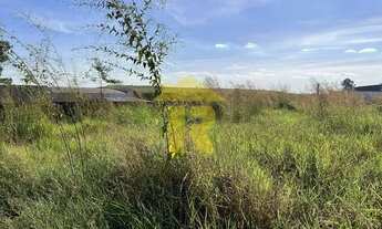 Imagem 3: TERRENO INDUSTRIAL em SÃO JOSÉ DO RIO PRETO - SP, DISTRITO INDUSTRIAL DOUTOR CARLOS ARNALD