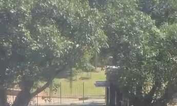 Imagem 4: IPANEMA - SALA COMERCIAL - RUA JOANA ANGÉLICA