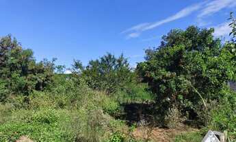 Imagem 5: Terreno à venda em Maria Joaquina