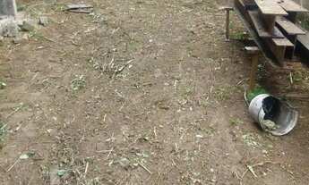 Imagem 6: Galpão em Valéria com 1.600 m² para locação ou venda