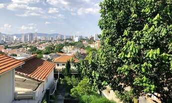 Imagem 3: Terreno residencial para venda na Vila Romana