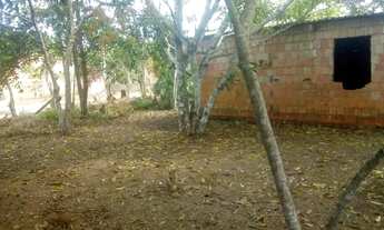 Imagem 6: /Lote com 800 M2 em Açutuba