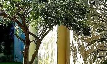 Imagem 3: Casa pra venda em São José dos Pinhais