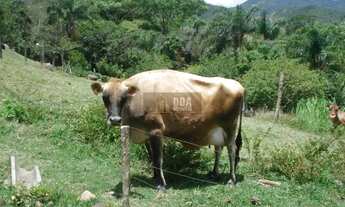 Imagem 4: Sítio com duas Belíssimas casa à venda no Ratones