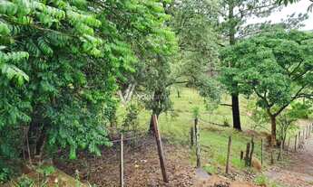 Imagem 4: Terreno - Chácara Santa Margarida - Campinas