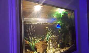 Imagem 7: Aluguel temporada Apartamento no edificio Smart Boulevard