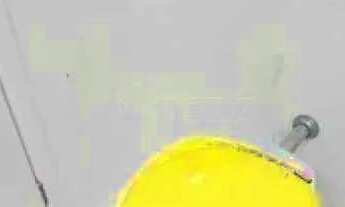 Imagem 5: Apartamento : / Residencial / Glória