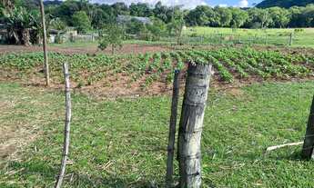 Imagem 5: Sítio Completo à Venda - 4 Hectares Escriturados em Taquara/RS