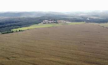 Imagem 3: Fazenda a venda, entre Paracatu e Cristalina / Goiás!
