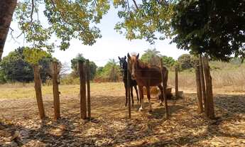 Imagem 3: Imóvel para venda possui 45000 metros quadrados com 3 quartos em Planaltina - Brasília - D