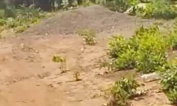 Imagem 4: CHÁCARA 6000 MT QUADRADO VENDO OU TROCO POR HILUX