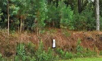 Imagem: Terreno à Venda em Gramado no Loteamento