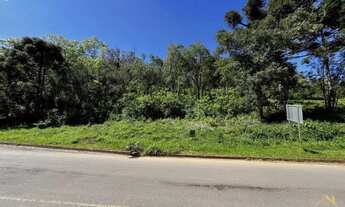 Imagem 2: Amplo Terreno no bairro Linha Imperal em Nova Petrópolis RS REF: 1685