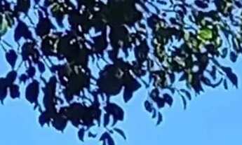 Imagem: Fazenda no municipio de Niquelandia perto