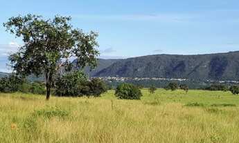 Imagem 7: Fazenda Extra 151 Alqueires - Dupla Aptidão!