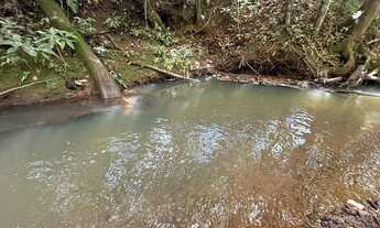 Imagem 3: Terreno rural com muita água