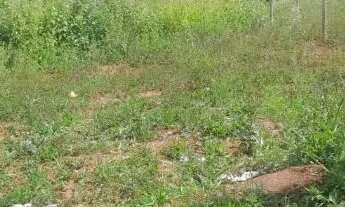 Imagem 4: Lote/terreno parque real pouso alegre mg
