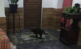 Imagem 5: Vendo casa em Piedade/Candeias