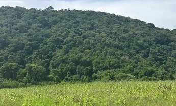 Imagem: Oportunidade Única! Terreno à Venda em