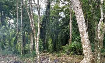 Imagem 6: Vendo lote de 361,59M² com simples acesso a repressa - Loteamento Saveiros