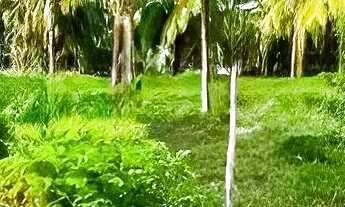 Imagem 5: Terreno de 40.000m² à venda - Barra dos Coqueiros/SE