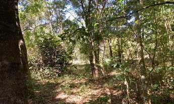 Imagem 4: Chácaras de 20mil mt em Goiás velho rio vermelho no fundo