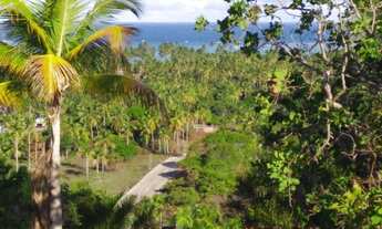 Imagem 6: Loteamento na Praia de Antunes em Maragogi-AL