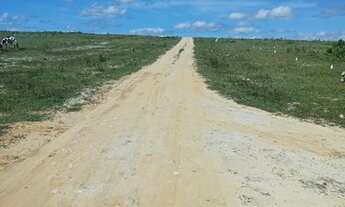 Imagem 3: Loteamento Lagoas Do Giral A 900 Metros Da Praia E A 2Km Do Centro De Paracuru. n°:17