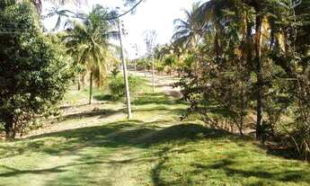 Imagem 7: Sítio no Jardim - Saquarema