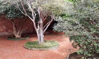 Imagem 5: Casa comercial com ampla área externa