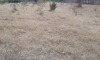 Imagem 2: Sítio 5 Hectares Arantina - Sítio 26 Hectares