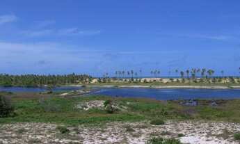 Imagem 4: Área Frontal 163000 m² em Barra do Itariri